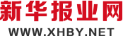 新华报业网