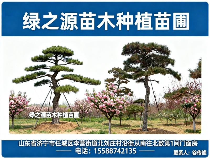 绿之源苗木种植苗圃秦皇岛站