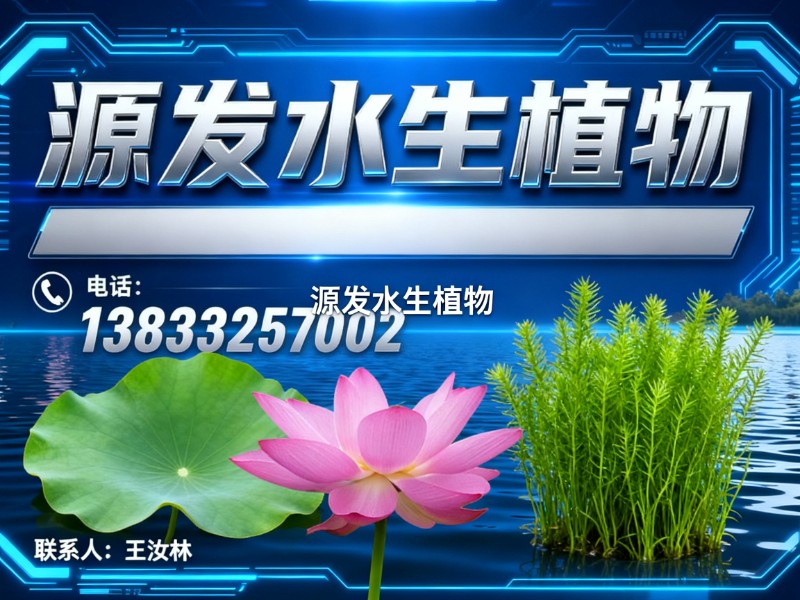 源发水生植物