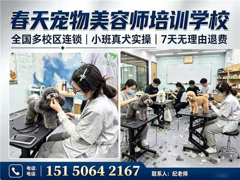 春天宠物美容师培训学校