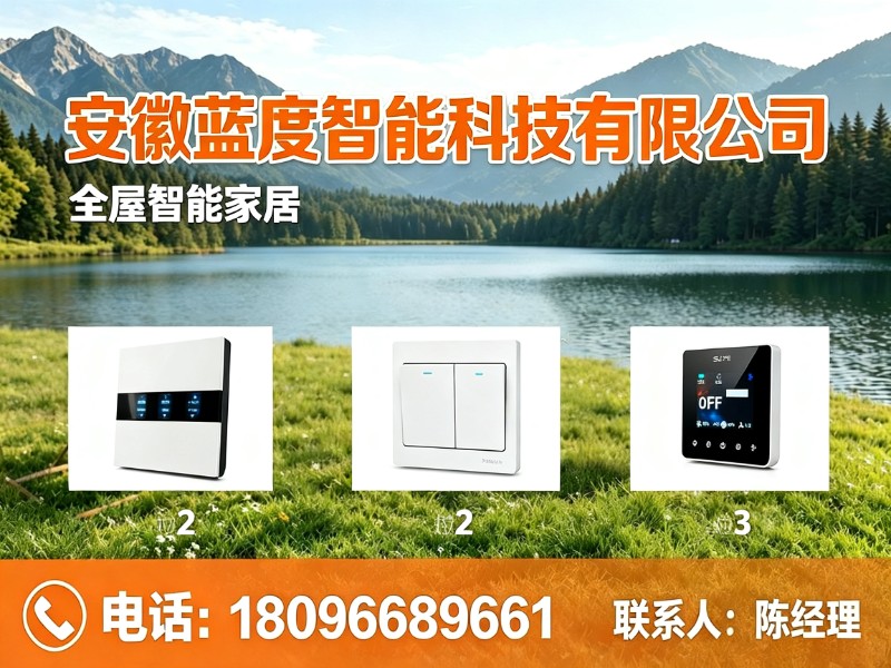 安徽蓝度智能科技有限公司