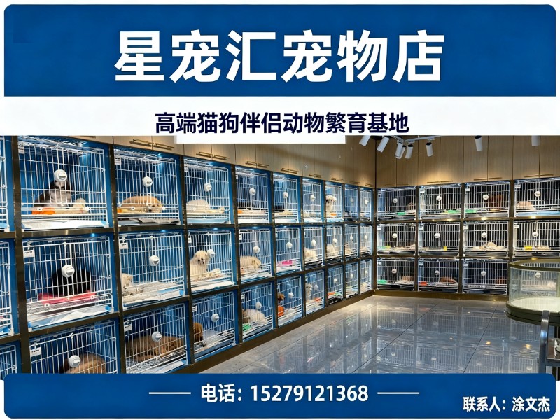 星宠汇宠物店
