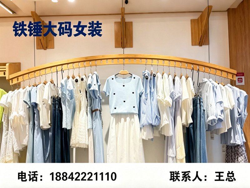 铁锤大码女装
