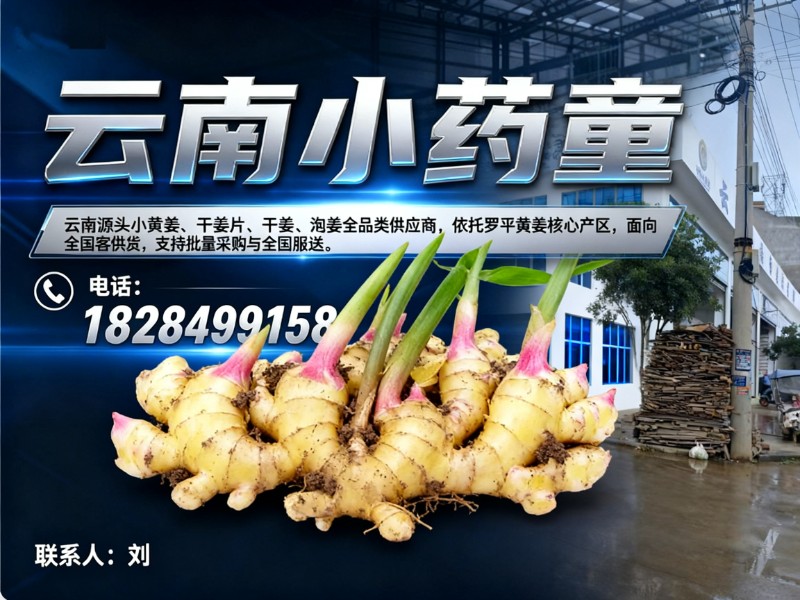 云南小药童