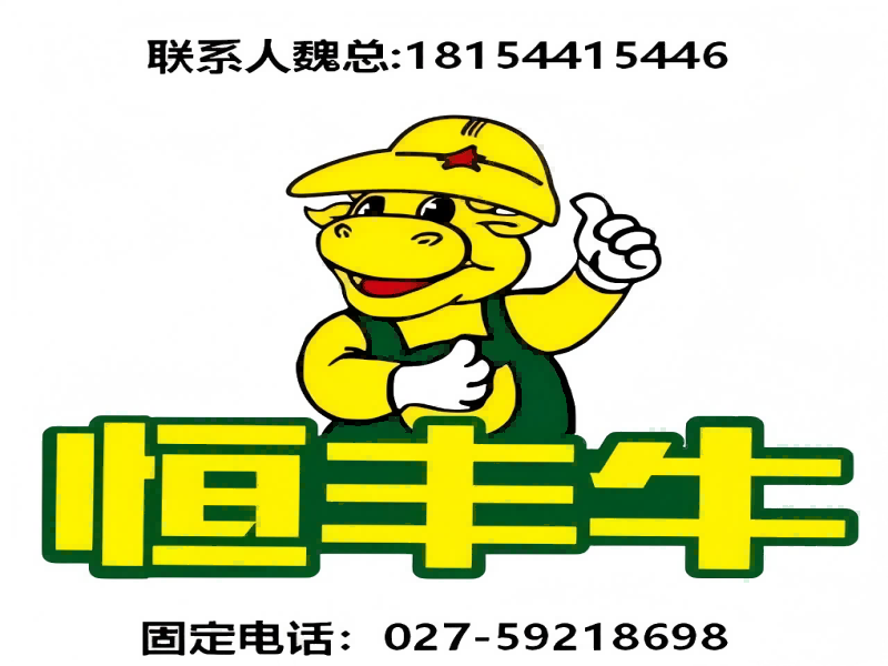 恒丰牛