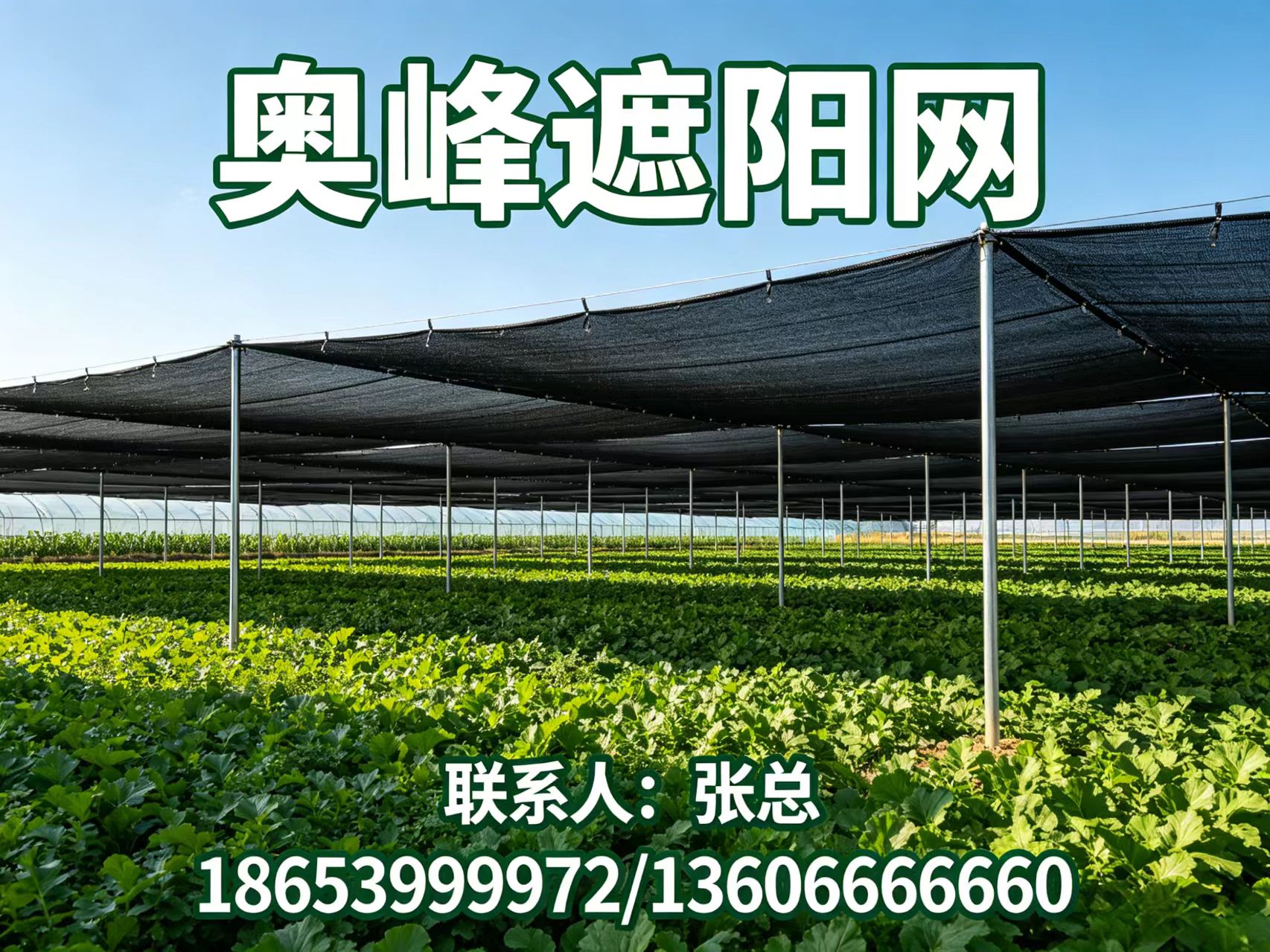 奥峰遮阳网河南线上分站