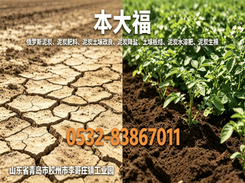 本大福