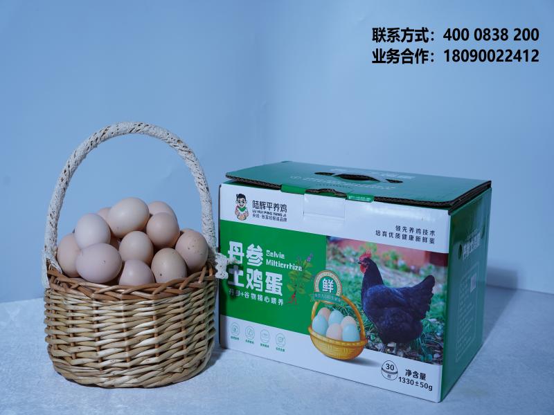 齐远农场甘孜线上分站