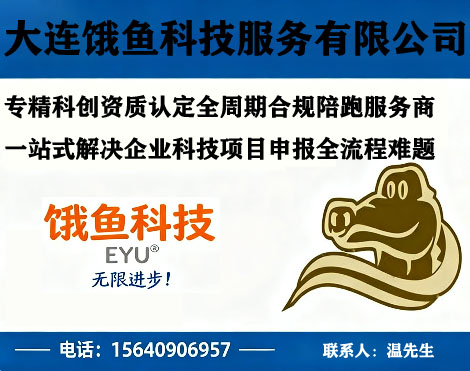 大连饿鱼科技