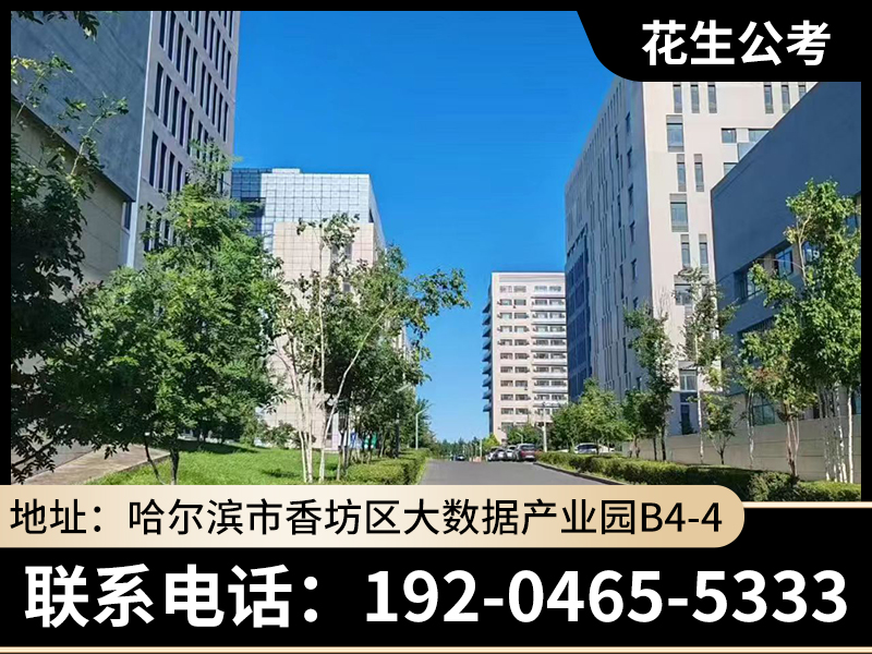 花生公考