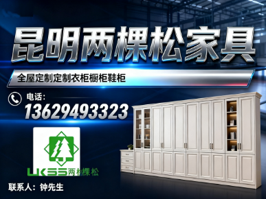 两棵松家具元江线上分站