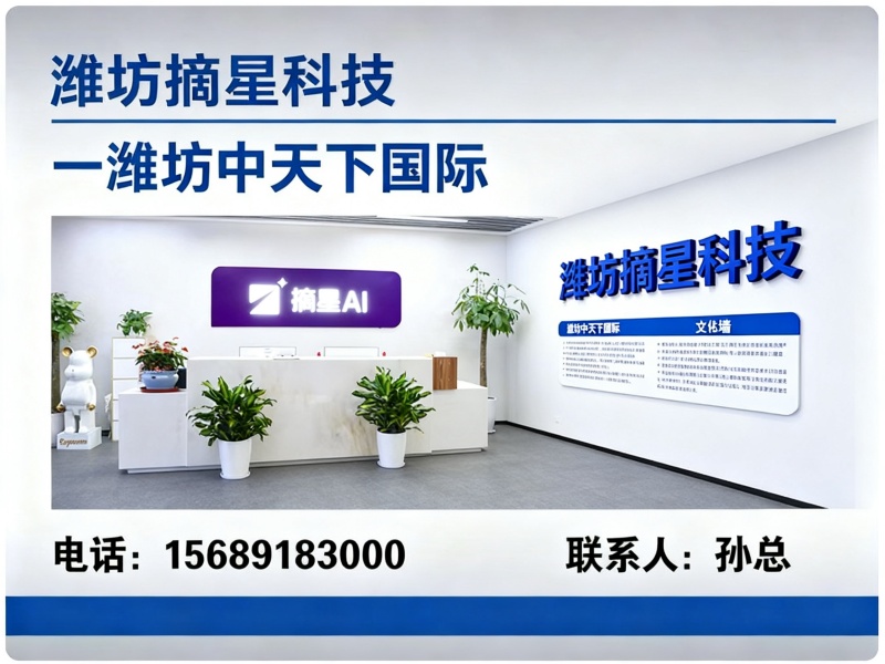 摘星AI科技山东线上分站