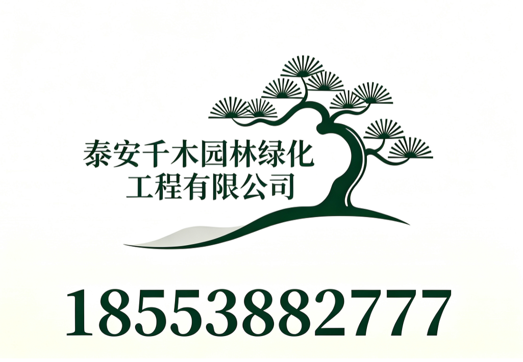 千木园林