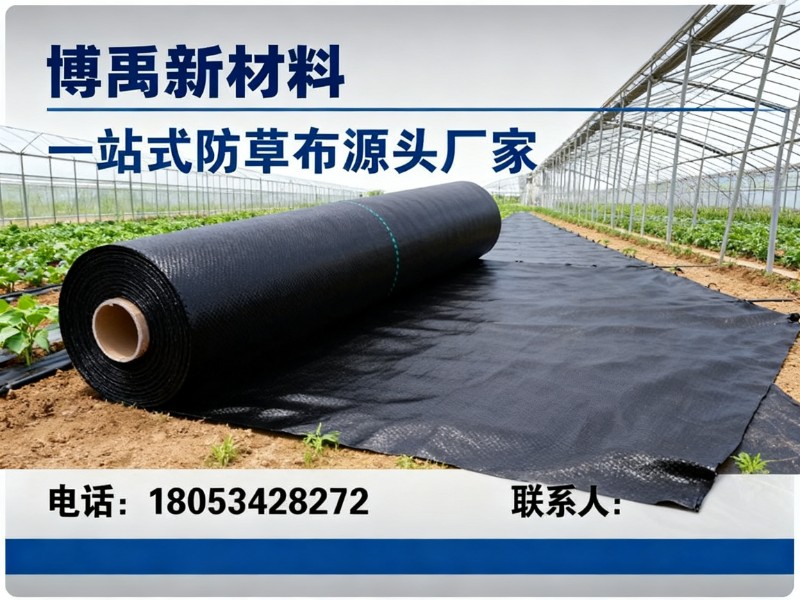 博禹新材料