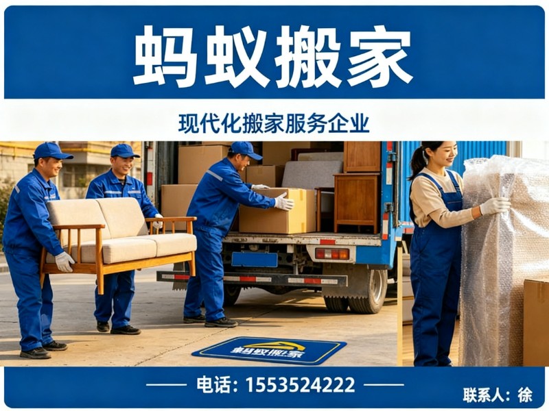 蚂蚁搬家