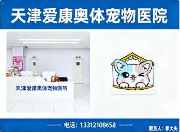 天津爱康奥体宠物医院分站