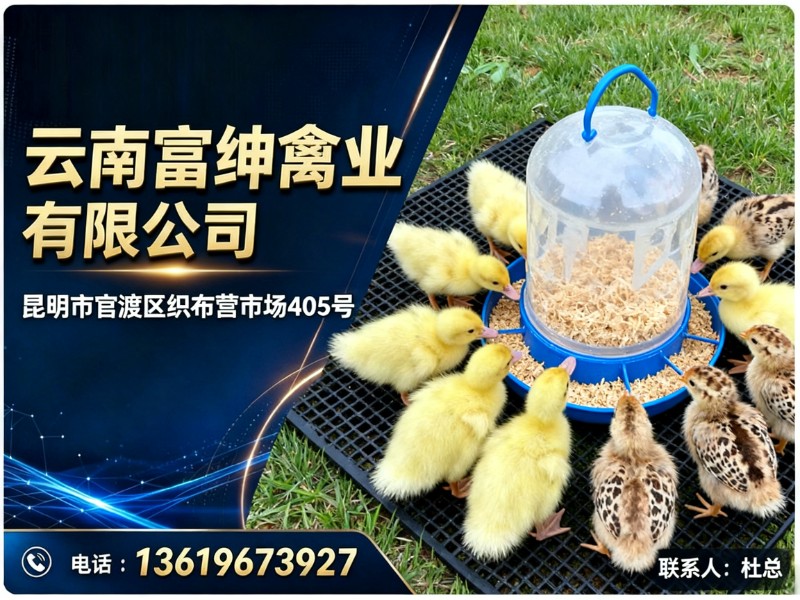 富绅禽业