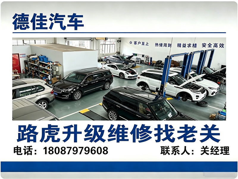 德佳汽车