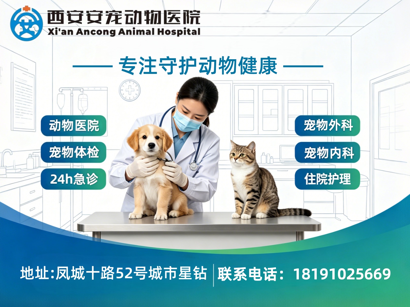 安宠动物医院