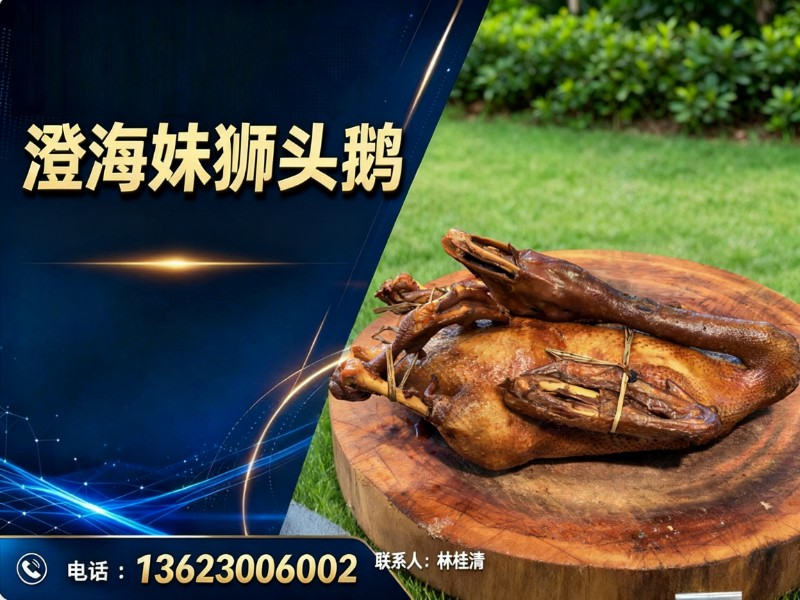 澄海妹狮头鹅