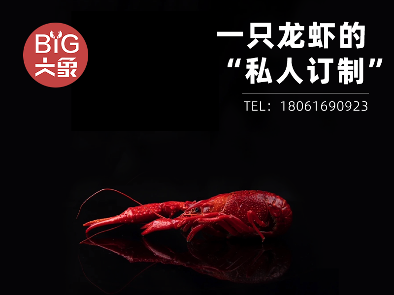 大象私厨河北站