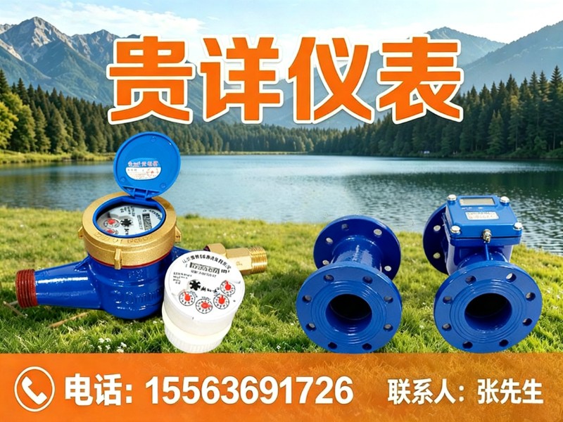 贵详仪表