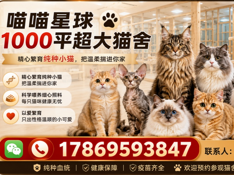喵频共振(昆明)科技有限责任公司