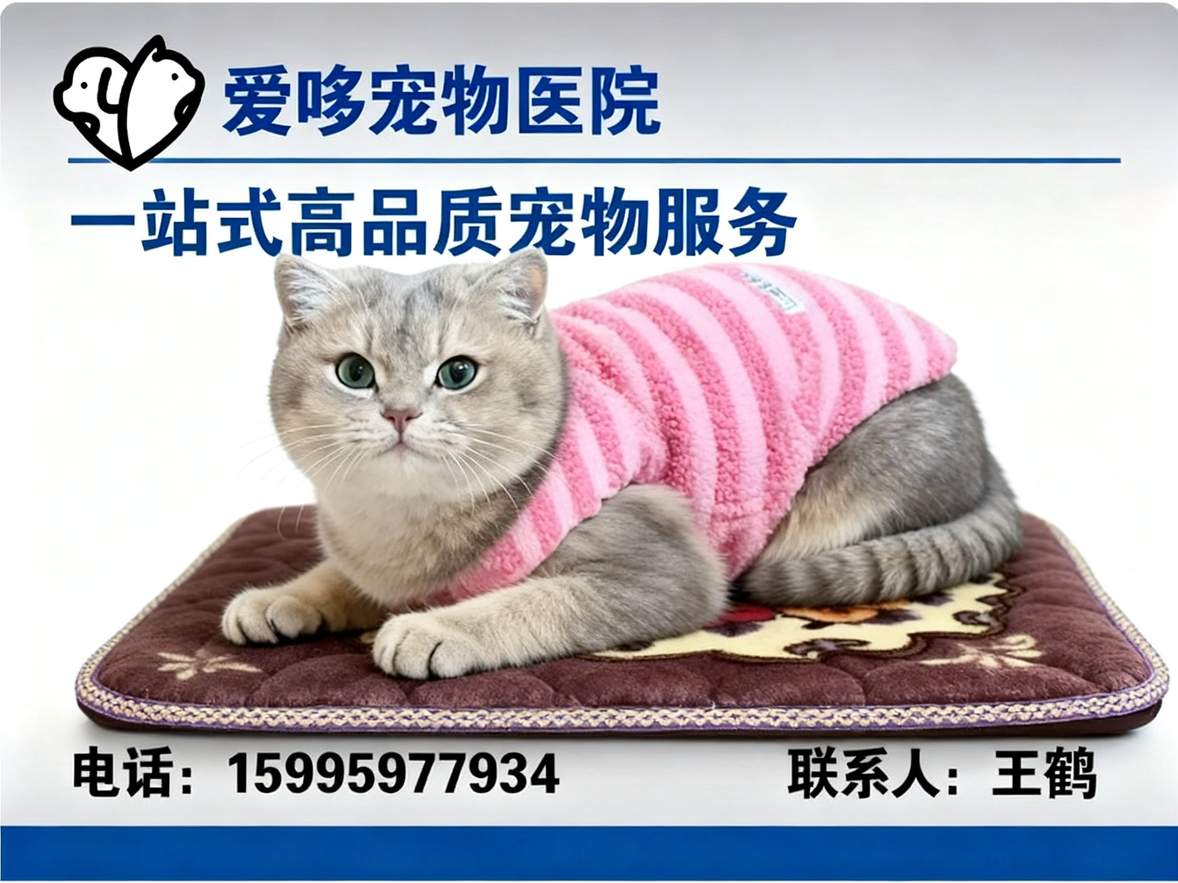 爱哆宠物