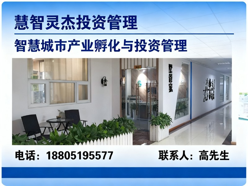 慧智灵杰投资管理