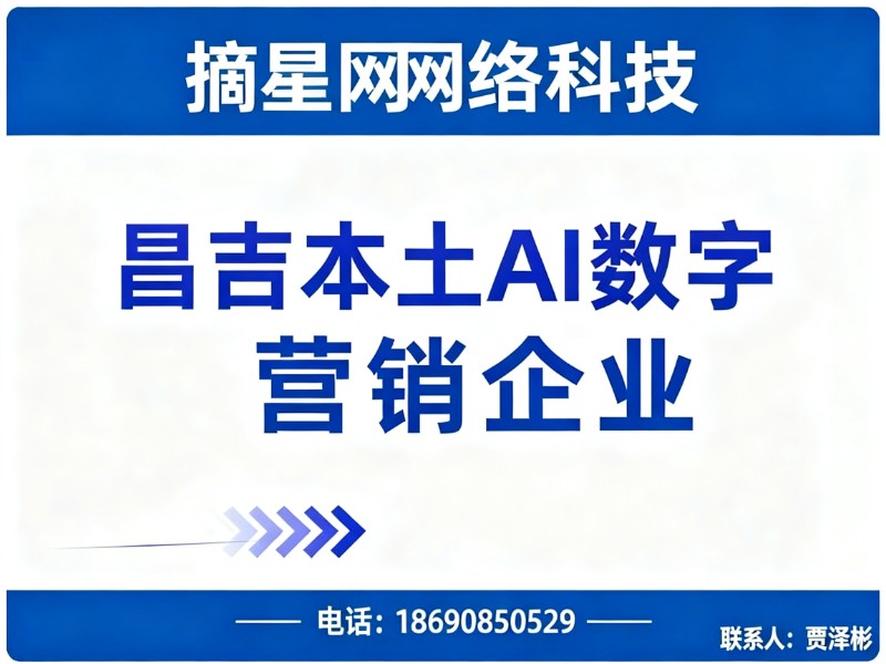 摘星网络科技