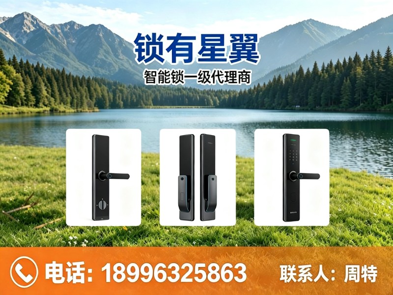 锁有星翼