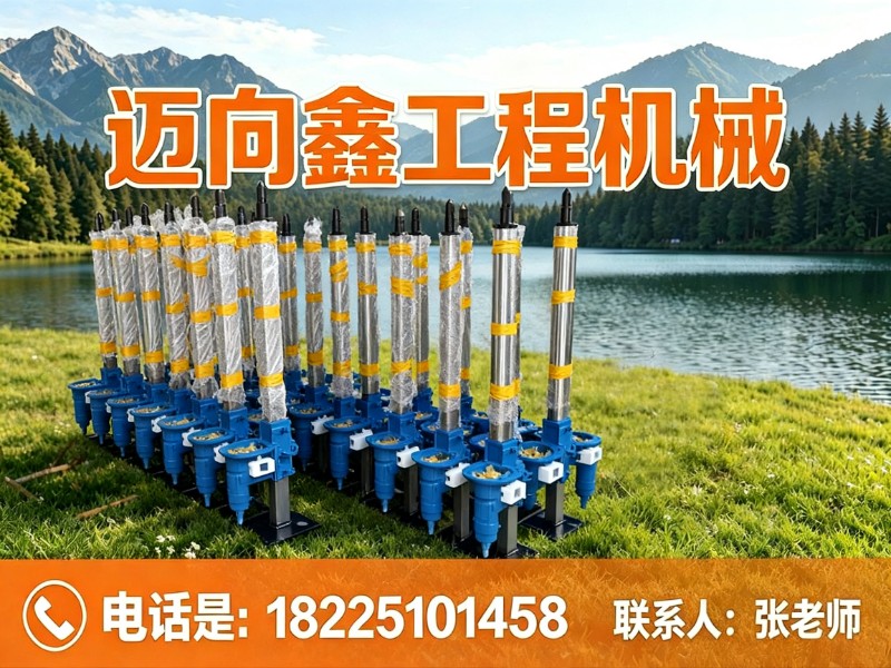 迈向鑫