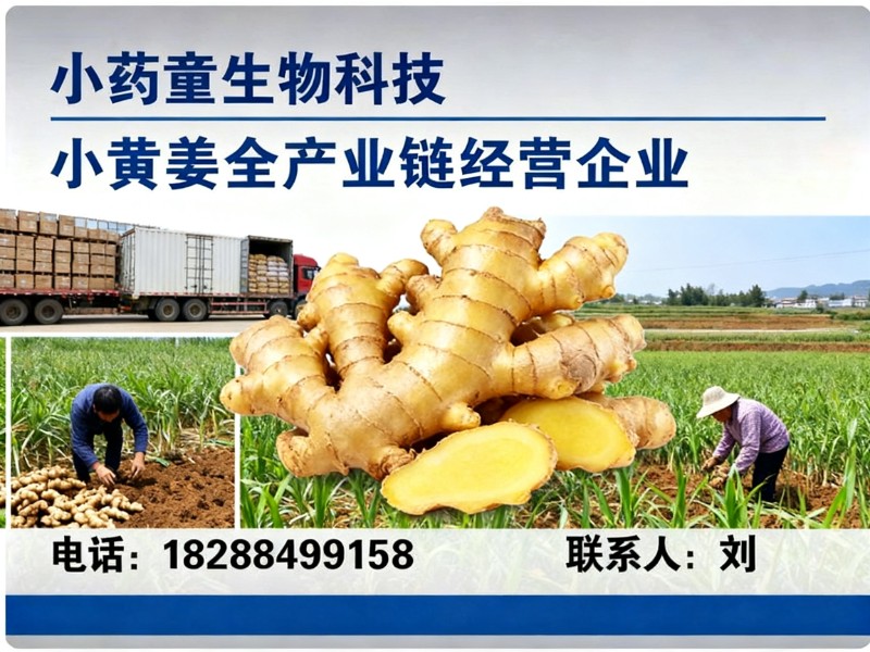 小药童生物科技