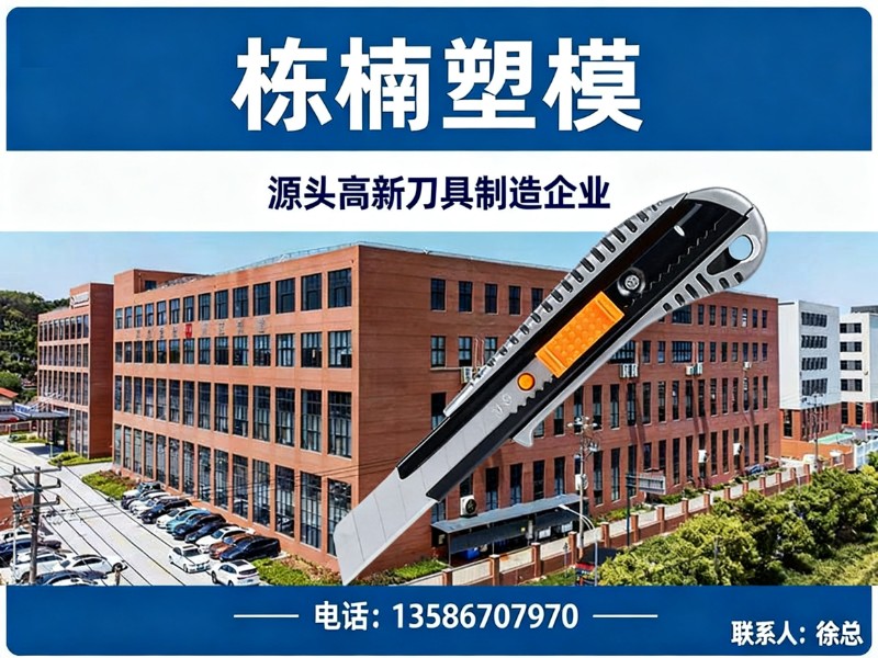 栋楠塑模