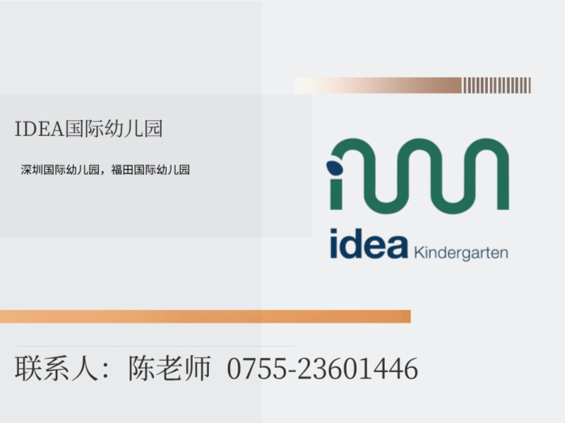 IDEA