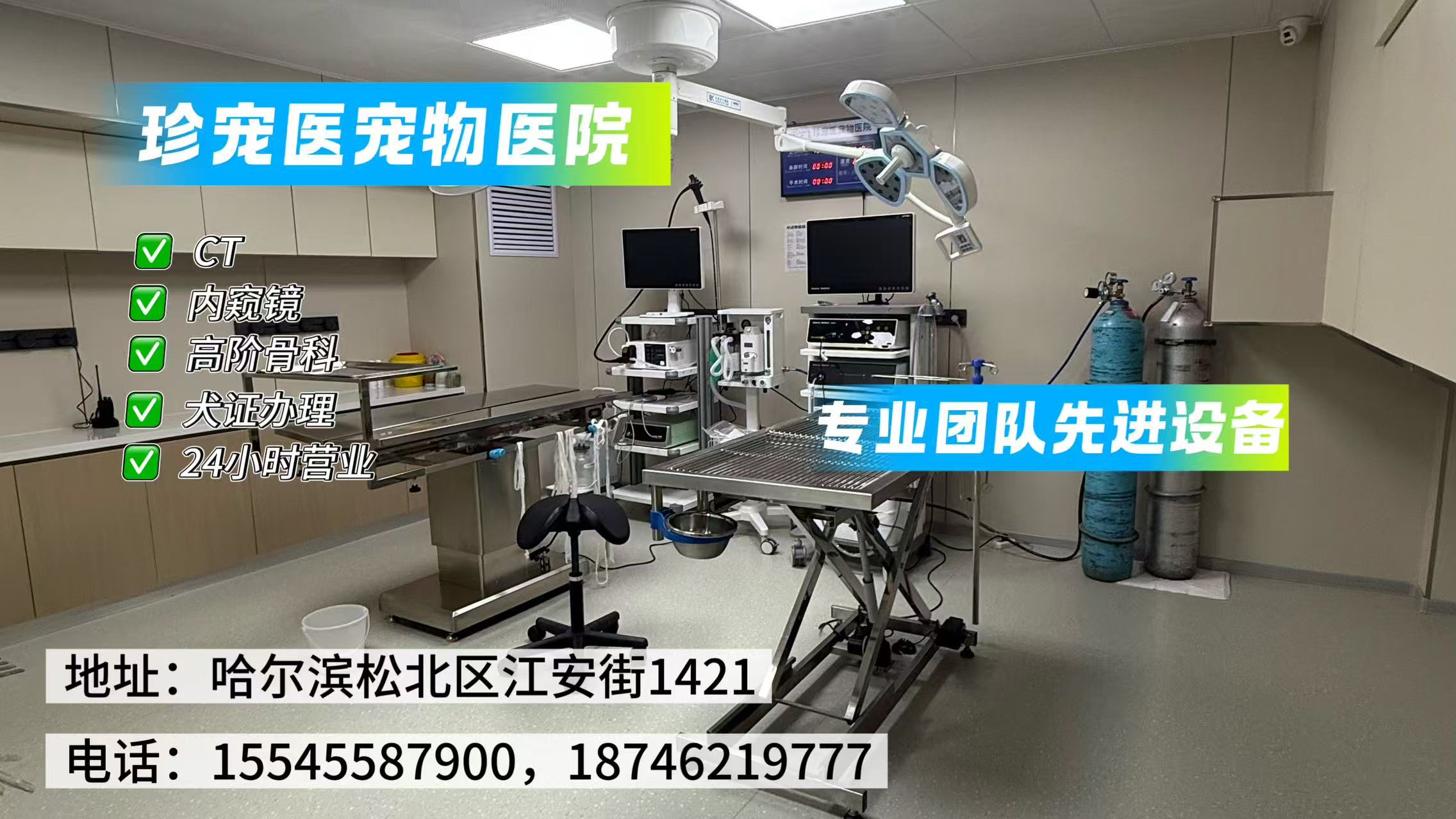 珍宠医宠物医院