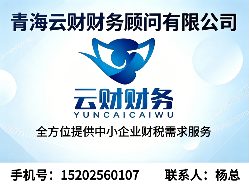 云财财务