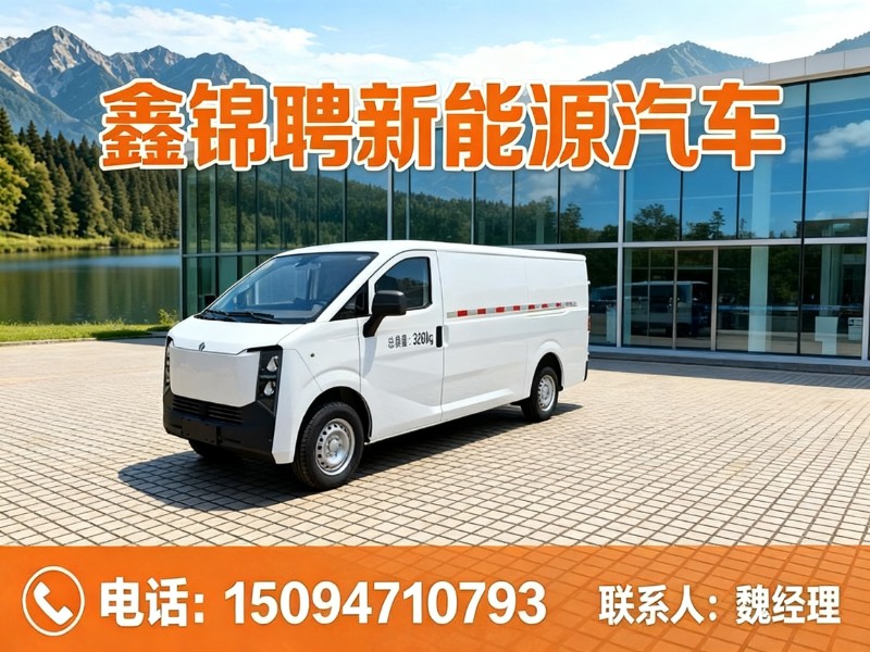 鑫锦聘新能源汽车