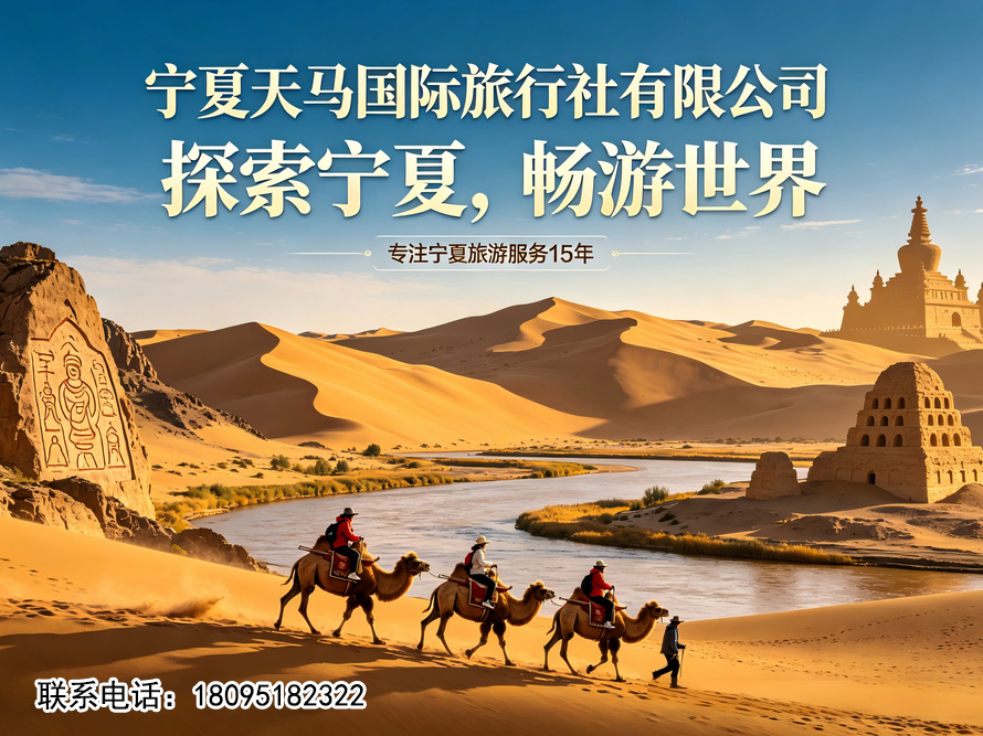 天马国际旅行社