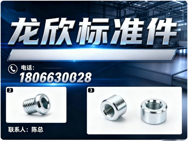 龙欣标准件