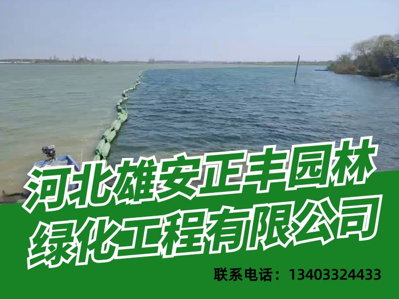 正丰园林