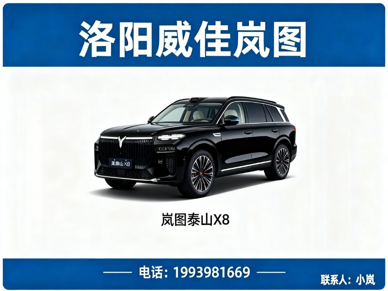 洛阳威佳岚图