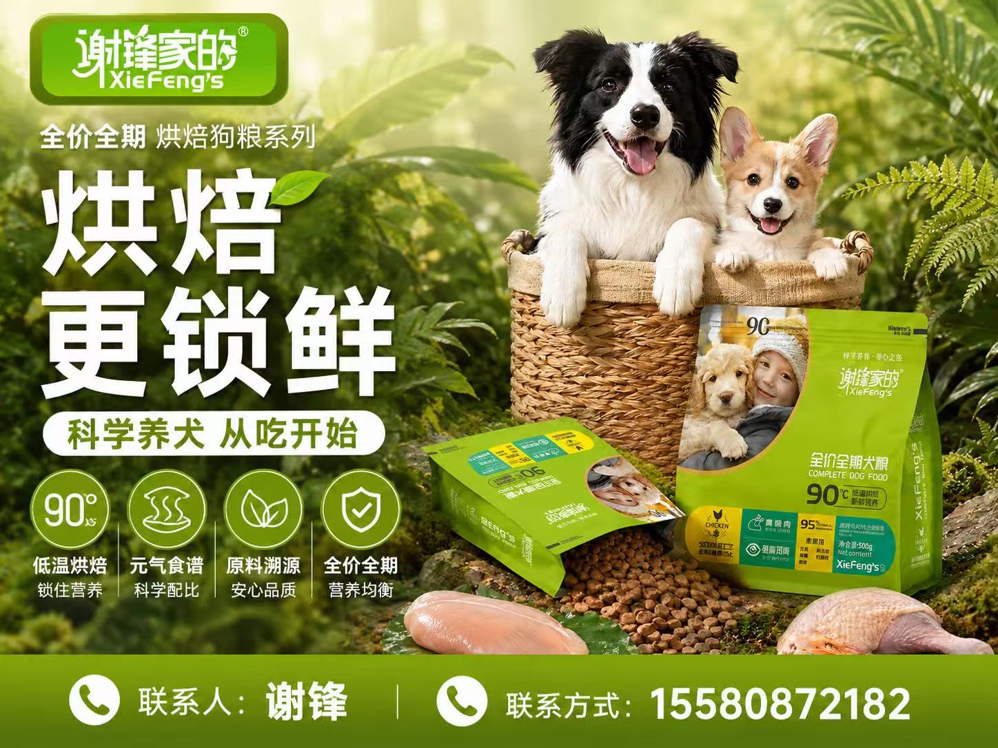 谢锋家的
