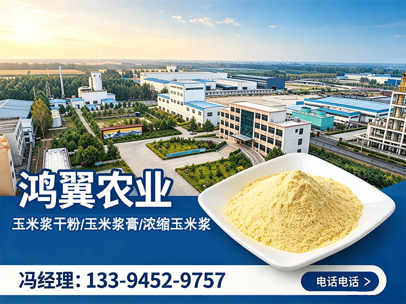 鸿翼顺德站