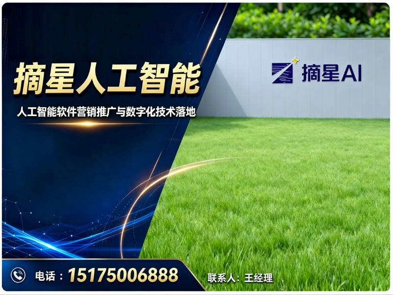 邯郸摘星人工智能
