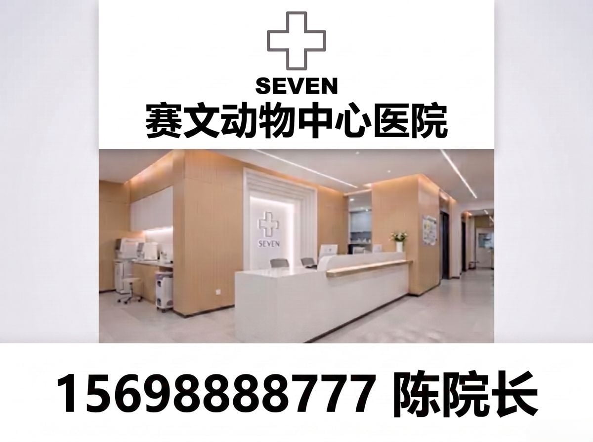 赛文动物中心医院
