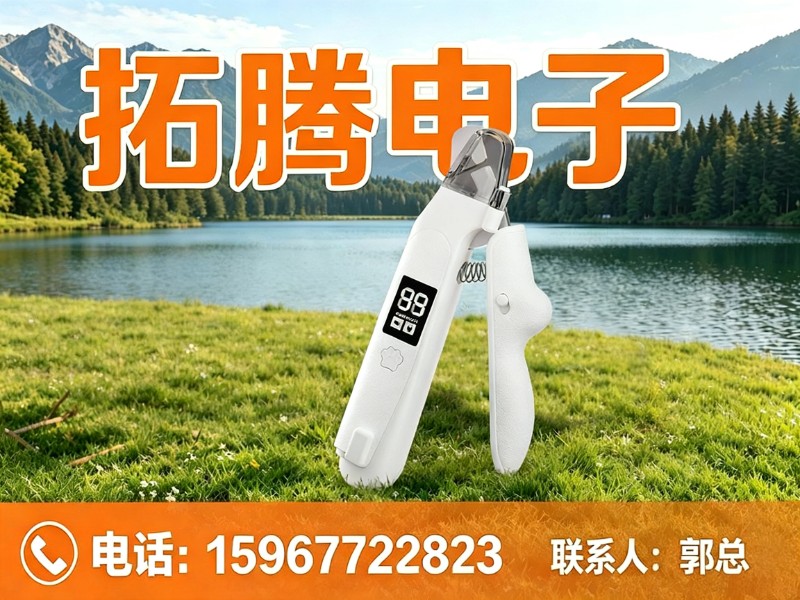 拓腾电子