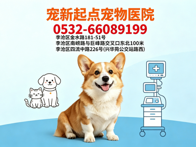 宠新起点动物医院