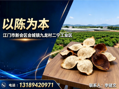 以陈为本分站