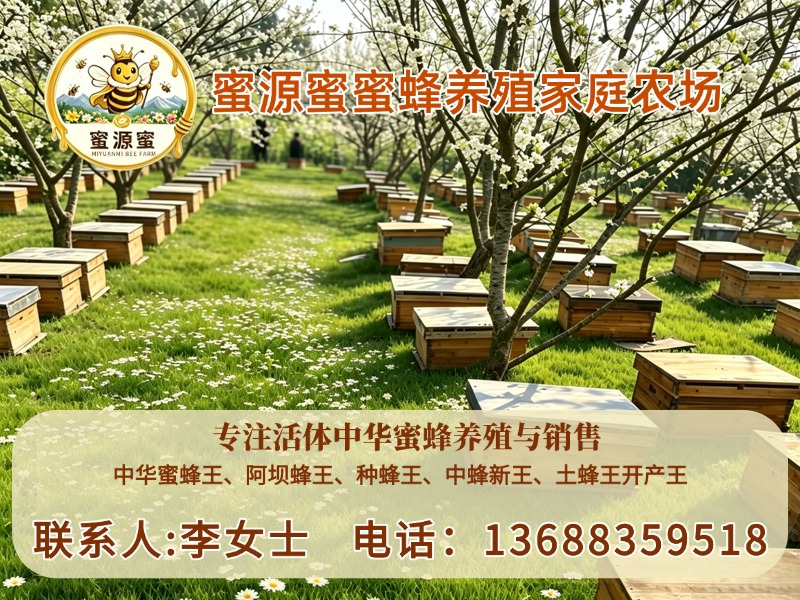 蜜源蜜蜜蜂养殖家庭农场自贡站